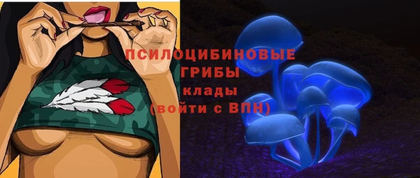 хмурый Алексин