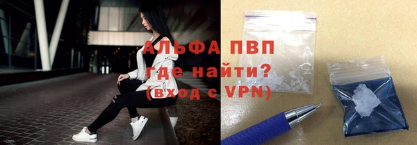 хмурый Алексин