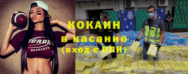 хмурый Алексин