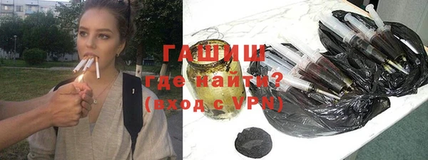 хмурый Алексин
